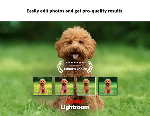 Lightroom Photo & Video Editor screenshot 1