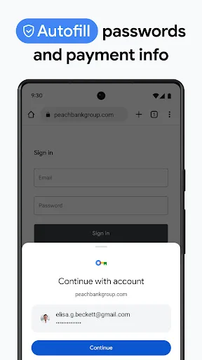 Google Chrome screenshot 2