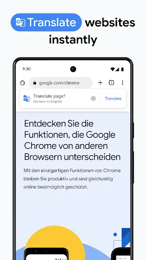 Google Chrome screenshot 3