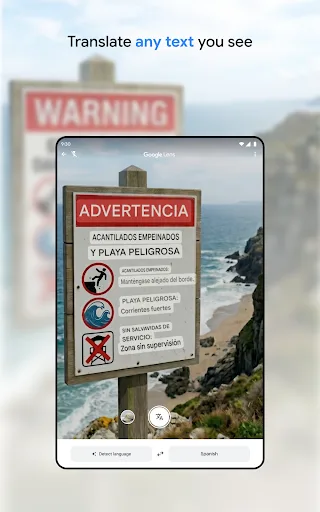 Google Translate screenshot 8