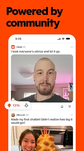 Reddit screenshot 5