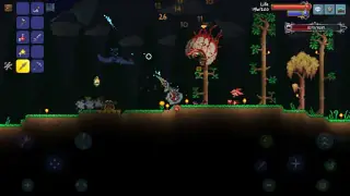 Terraria screenshot 4